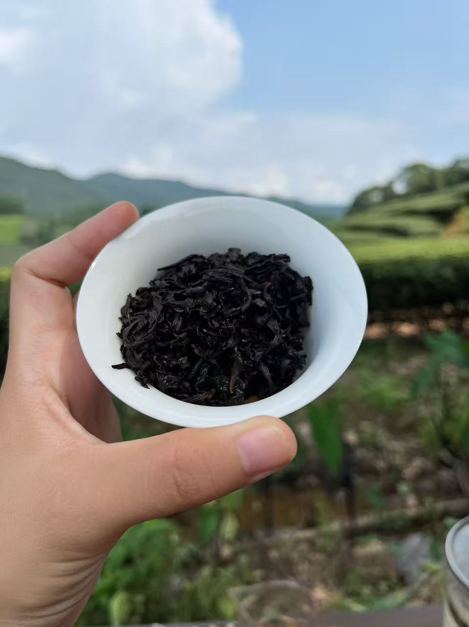 Spring 2026 Wuyi Tea Special – Choose Your Own 5×8g Tea Tasting Set Minimum 5 packs (40g total) – Fresh Rock Oolong & Black Tea from Wuyi Mountains - Image 5
