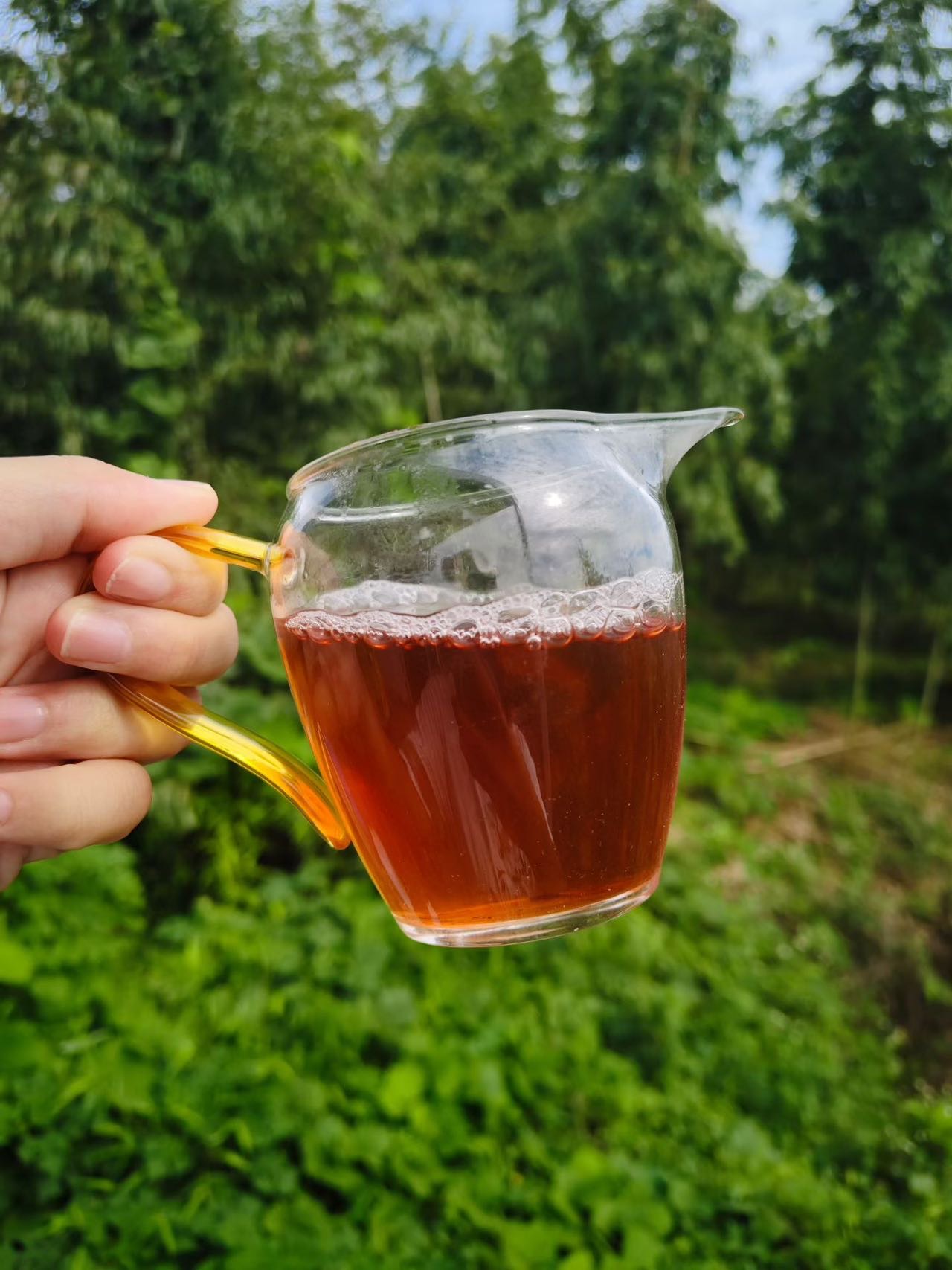 Spring 2026 Wuyi Tea Tasting Set – Build Your Own 5×8g Sampler – Fresh Rock Oolong & Black Tea - Image 28