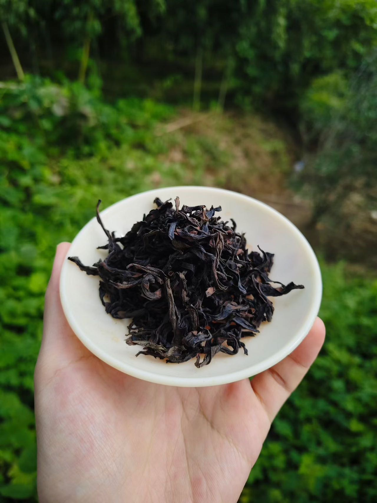 Spring 2026 Wuyi Tea Tasting Set – Build Your Own 5×8g Sampler – Fresh Rock Oolong & Black Tea - Image 30