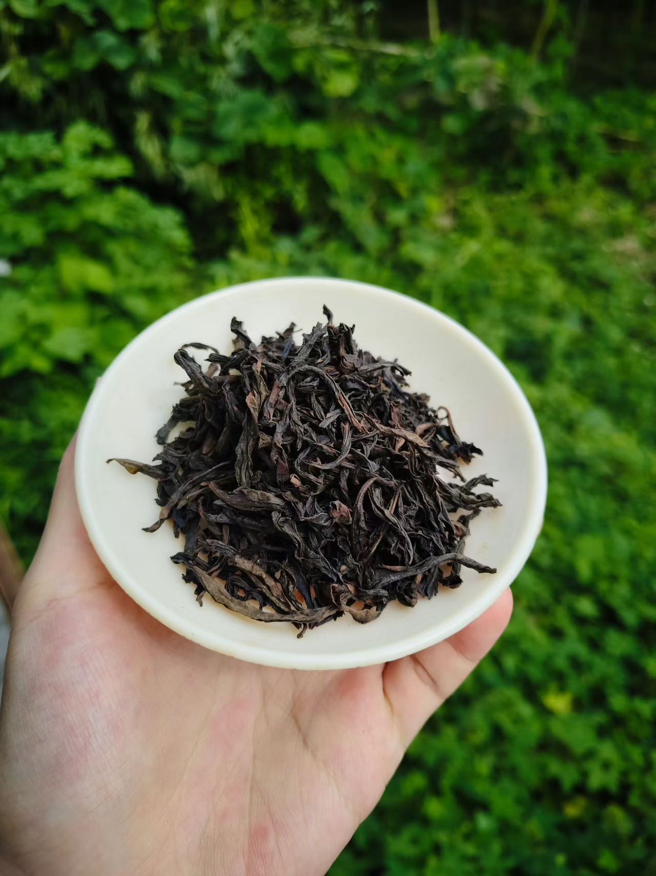 Spring 2026 Wuyi Tea Tasting Set – Build Your Own 5×8g Sampler – Fresh Rock Oolong & Black Tea - Image 31