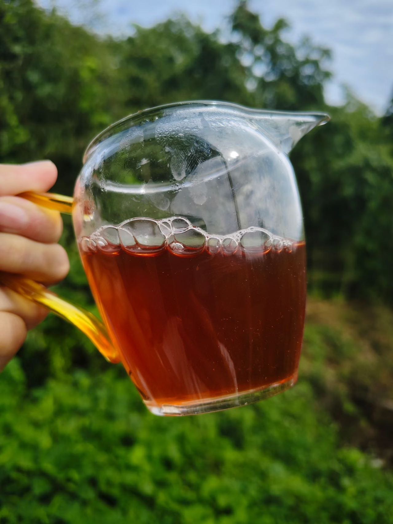 Spring 2026 Wuyi Tea Tasting Set – Build Your Own 5×8g Sampler – Fresh Rock Oolong & Black Tea - Image 33