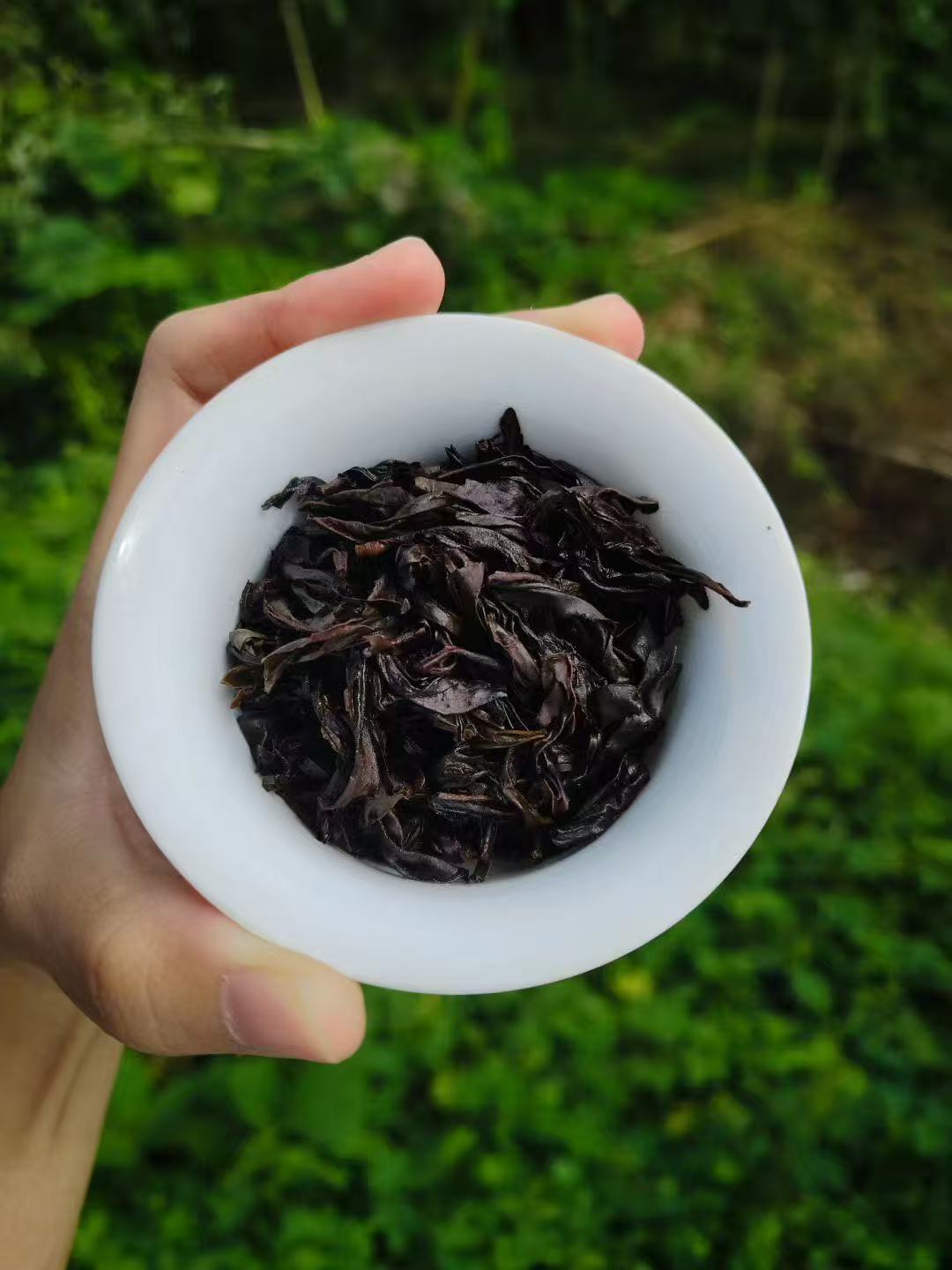 Spring 2026 Wuyi Tea Special – Choose Your Own 5×8g Tea Tasting Set Minimum 5 packs (40g total) – Fresh Rock Oolong & Black Tea from Wuyi Mountains - Image 9