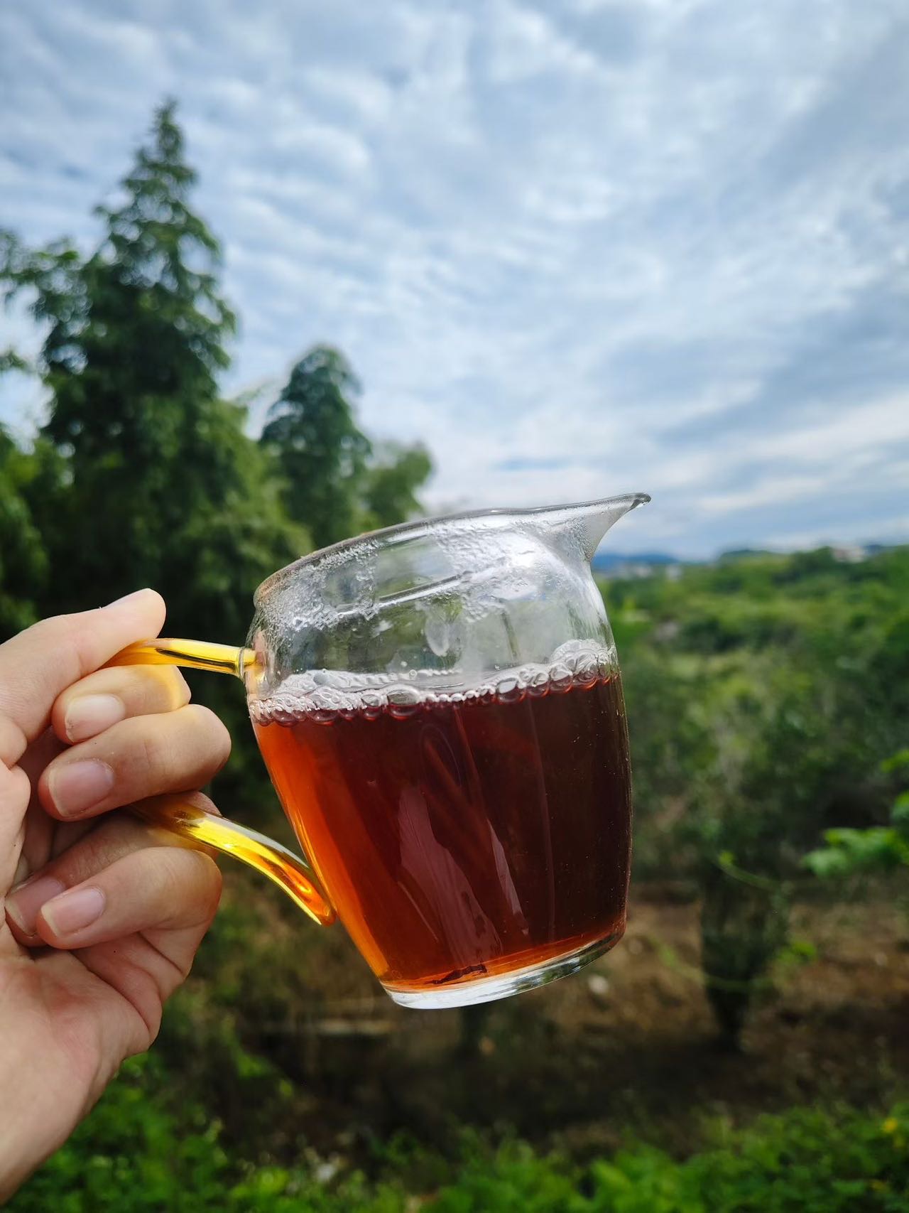 Spring 2026 Wuyi Tea Tasting Set – Build Your Own 5×8g Sampler – Fresh Rock Oolong & Black Tea - Image 34