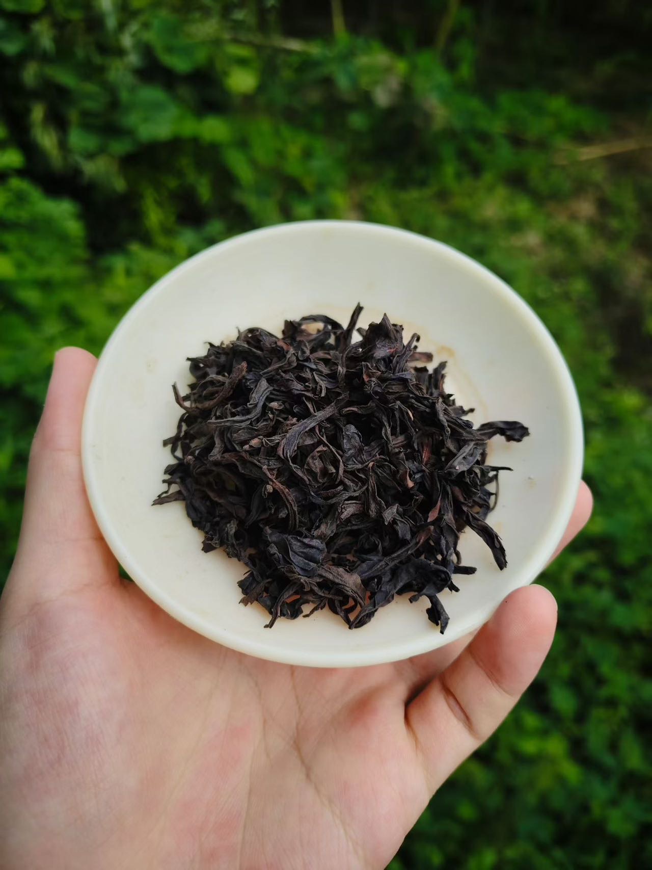 Spring 2026 Wuyi Tea Tasting Set – Build Your Own 5×8g Sampler – Fresh Rock Oolong & Black Tea - Image 35