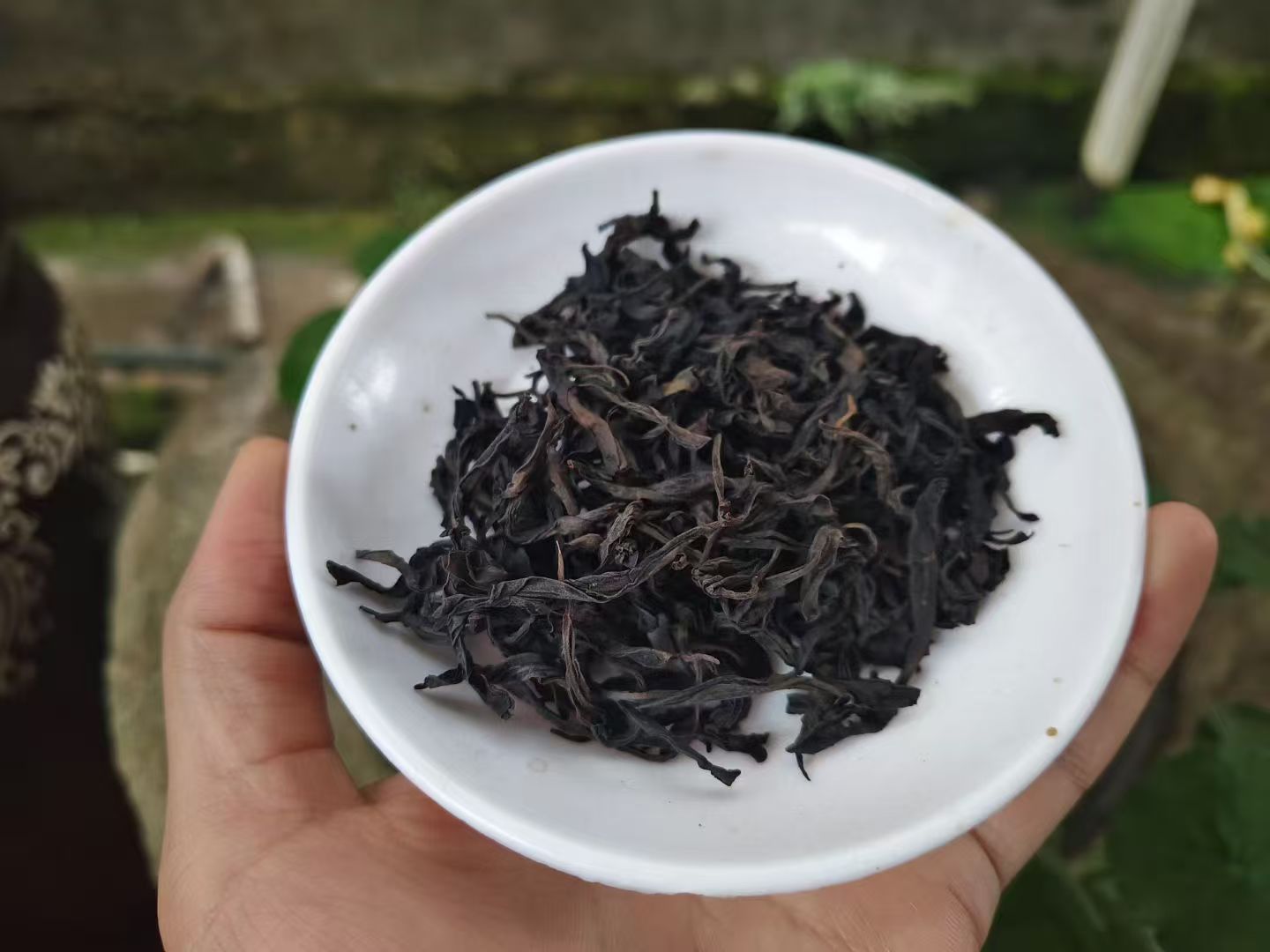 Spring 2026 Wuyi Tea Special – Choose Your Own 5×8g Tea Tasting Set Minimum 5 packs (40g total) – Fresh Rock Oolong & Black Tea from Wuyi Mountains - Image 11