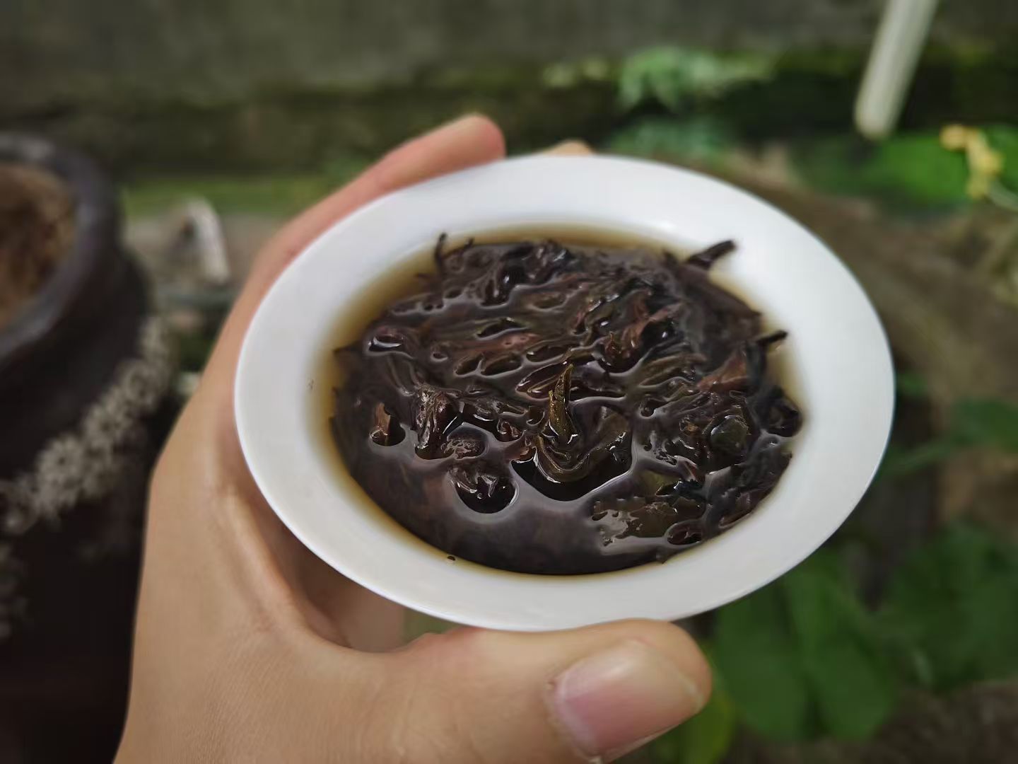 Spring 2026 Wuyi Tea Special – Choose Your Own 5×8g Tea Tasting Set Minimum 5 packs (40g total) – Fresh Rock Oolong & Black Tea from Wuyi Mountains - Image 13