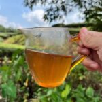 Spring 2026 Wuyi Tea Special – Choose Your Own 5×8g Tea Tasting Set Minimum 5 packs (40g total) – Fresh Rock Oolong & Black Tea from Wuyi Mountains