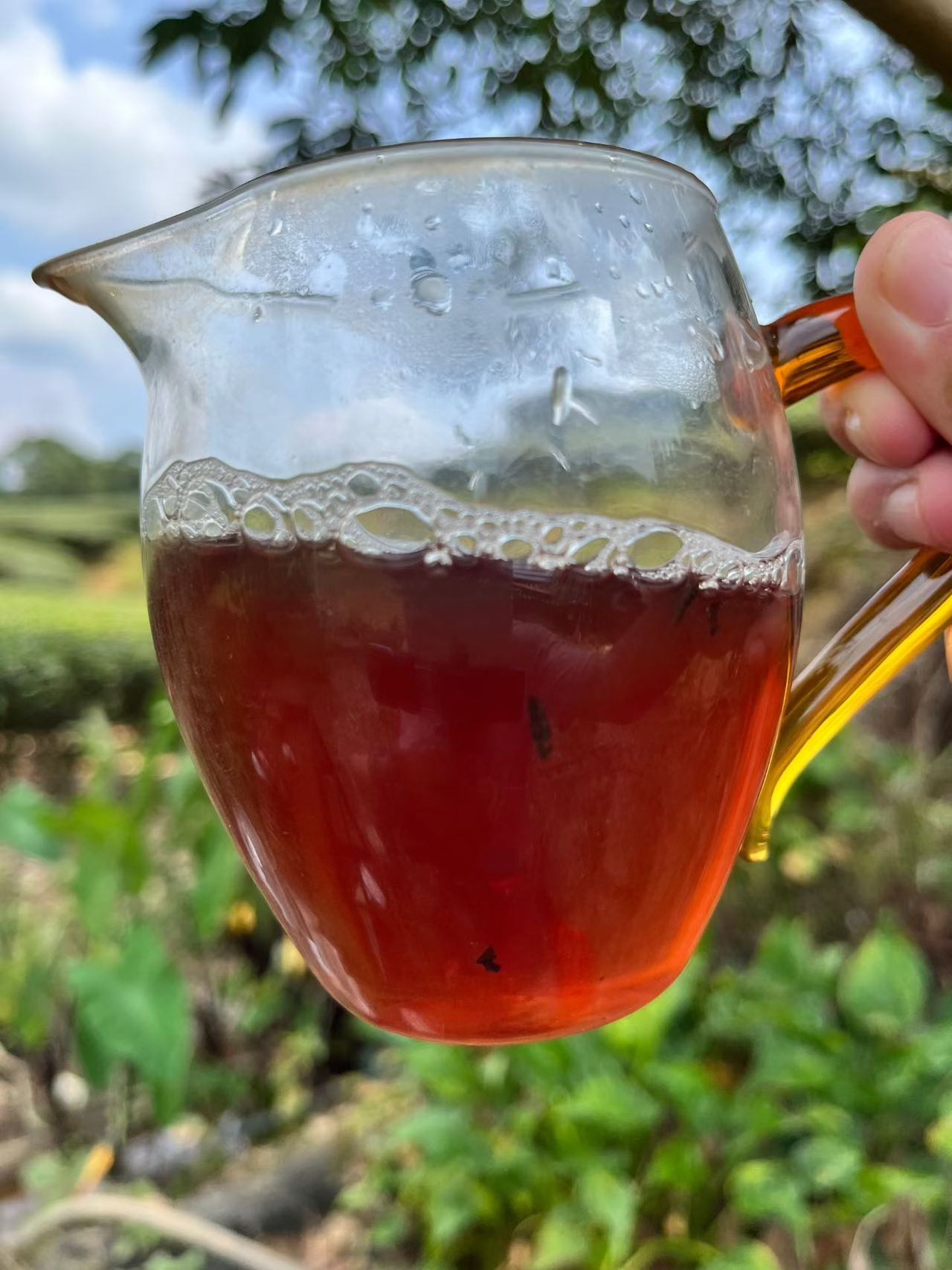 Spring 2026 Wuyi Tea Tasting Set – Build Your Own 5×8g Sampler – Fresh Rock Oolong & Black Tea - Image 50