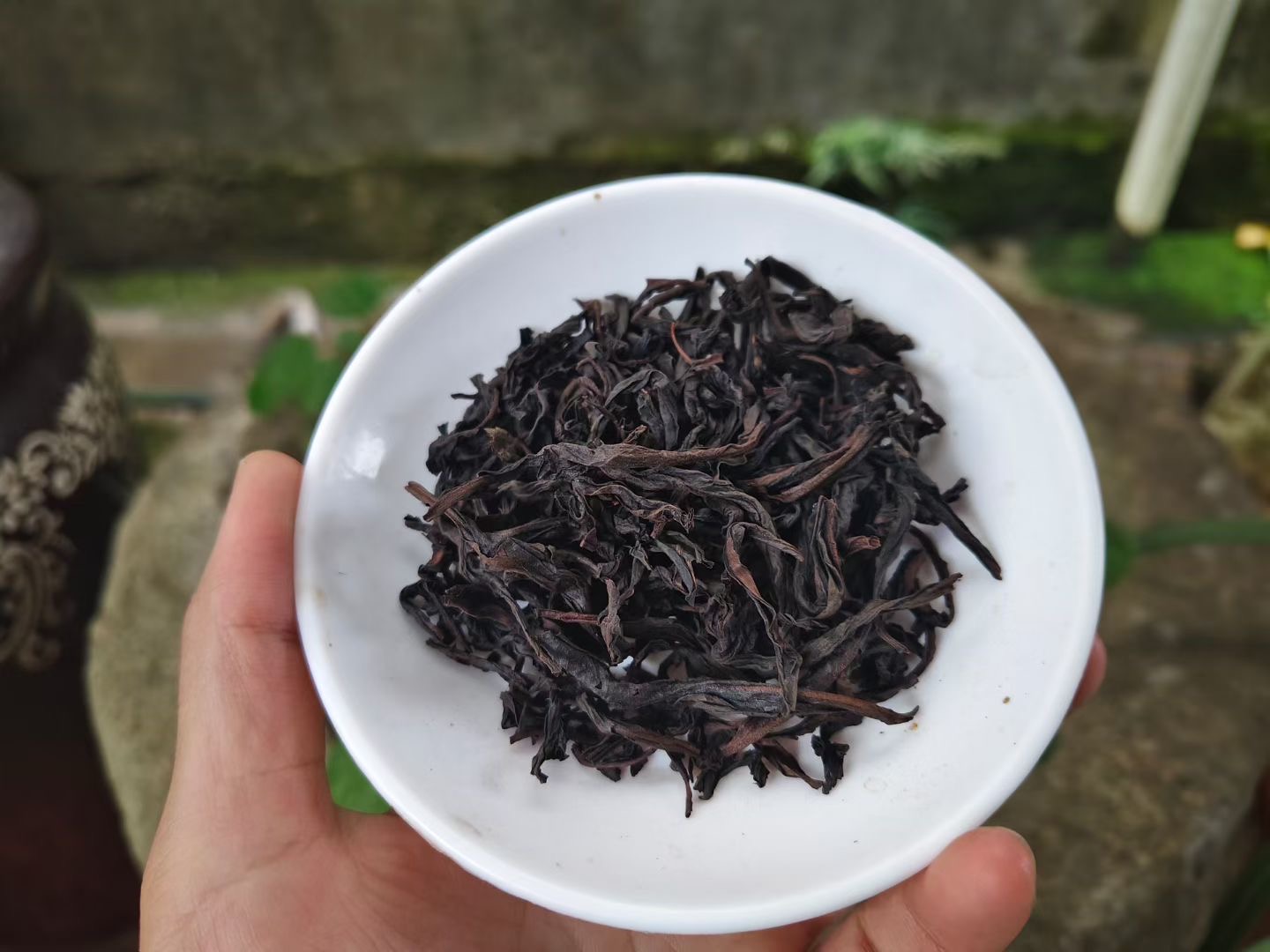 Spring 2026 Wuyi Tea Tasting Set – Build Your Own 5×8g Sampler – Fresh Rock Oolong & Black Tea - Image 44