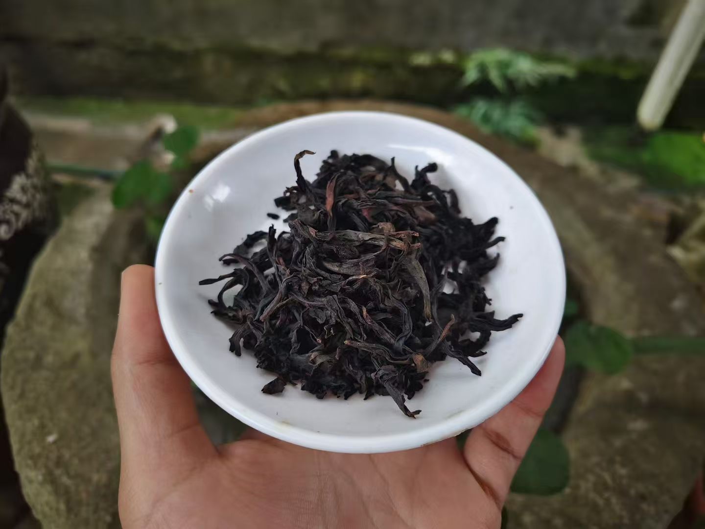 Spring 2026 Wuyi Tea Special – Choose Your Own 5×8g Tea Tasting Set Minimum 5 packs (40g total) – Fresh Rock Oolong & Black Tea from Wuyi Mountains - Image 18