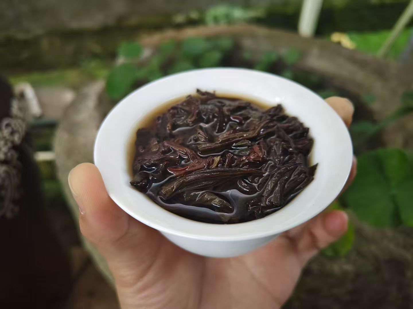 Spring 2026 Wuyi Tea Special – Choose Your Own 5×8g Tea Tasting Set Minimum 5 packs (40g total) – Fresh Rock Oolong & Black Tea from Wuyi Mountains - Image 19